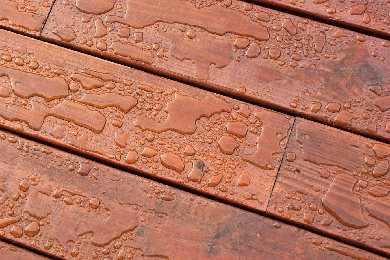 Rohnert Park Deck & Fence - custom deck building in Rohnert Park, CA